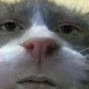 Avatar of user Narex