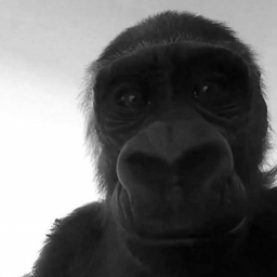 Avatar of user yum2m4