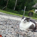 Avatar of user Da-Cating