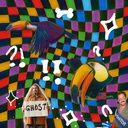 Avatar of user LeviTheToucan