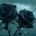 Cover of album Keegs❤ by *Spider beans*