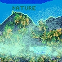 Cover of album nature by THE BIRDS WRIGHT