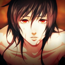 Avatar of user seirial