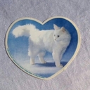 Avatar of user katulgonkat