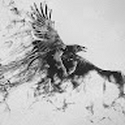 Avatar of user MarsWueste72461