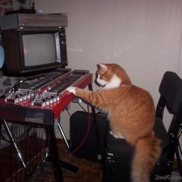 Avatar of user mnkberrymoondelight