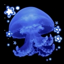 Avatar of user Stars-inthesky