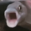 Avatar of user bomboclatter