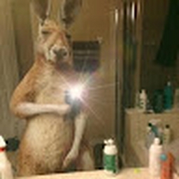 Avatar of user liljj89