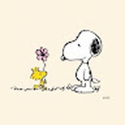 Avatar of user sellnia_