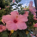 Avatar of user RFrueh7171