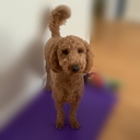 Avatar of user Rusty the God