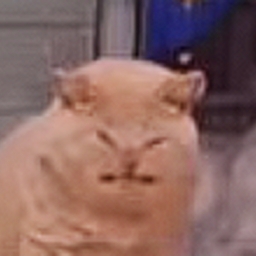 Avatar of user Little Fella