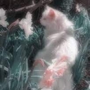 Cover of album My fav 2 by summer/luna/xluvxan