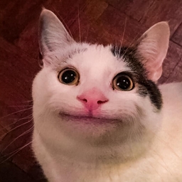 Avatar of user Regal_Lion13