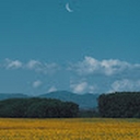 Avatar of user Austin_dunn