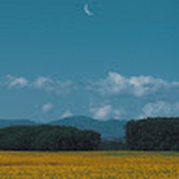 Avatar of user Austin_dunn