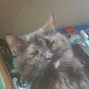 Avatar of user Via_white2009