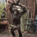 Avatar of user PUBLIC MONKEYS ACCOUNT