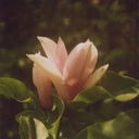 Avatar of user maline3490