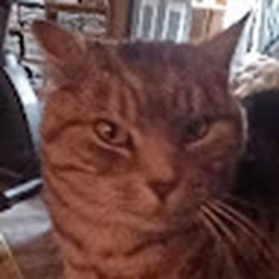 Avatar of user jppalmer