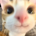 Avatar of user Shimo_sykuu