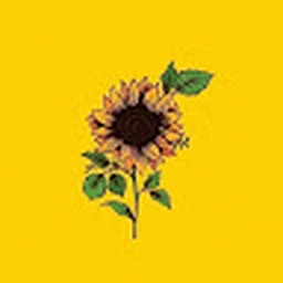 Avatar of user Beberg