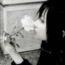 Avatar of user velours