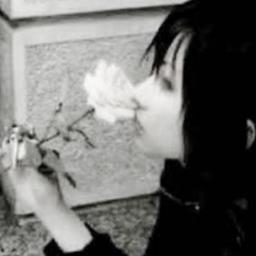 Avatar of user velours (gone)
