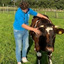 Avatar of user henryzande