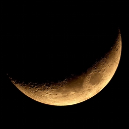 Avatar of user CarMoom795