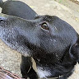 Avatar of user B0O_BZ