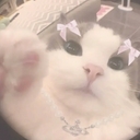 Avatar of user Marionetta