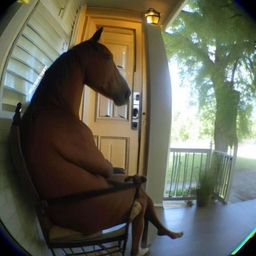 Avatar of user m0n1ca