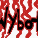 Avatar of user Wybot25