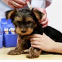 Avatar of user 90278