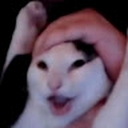 Avatar of user S1llySky