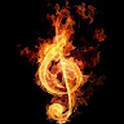 Avatar of user Arefehamooie