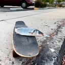 Avatar of user BinkiMuziek