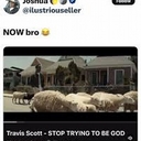 Cover of album the ima boss francise by @newcupid