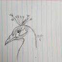 Avatar of user thesandmaan