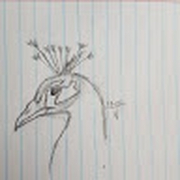 Avatar of user thesandmaan