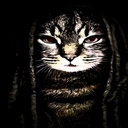 Avatar of user WAL