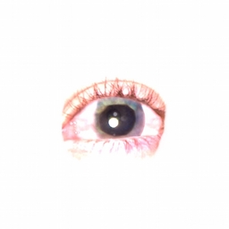 Avatar of user escapiistt