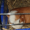 Avatar of user BGPONE