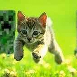 Avatar of user minecrafter970