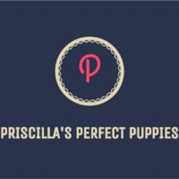 Avatar of user Priscillas Perfect Puppy