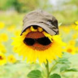 Avatar of user rasoul