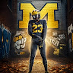 Avatar of user chickenspicey