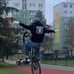 Avatar of user sveto113